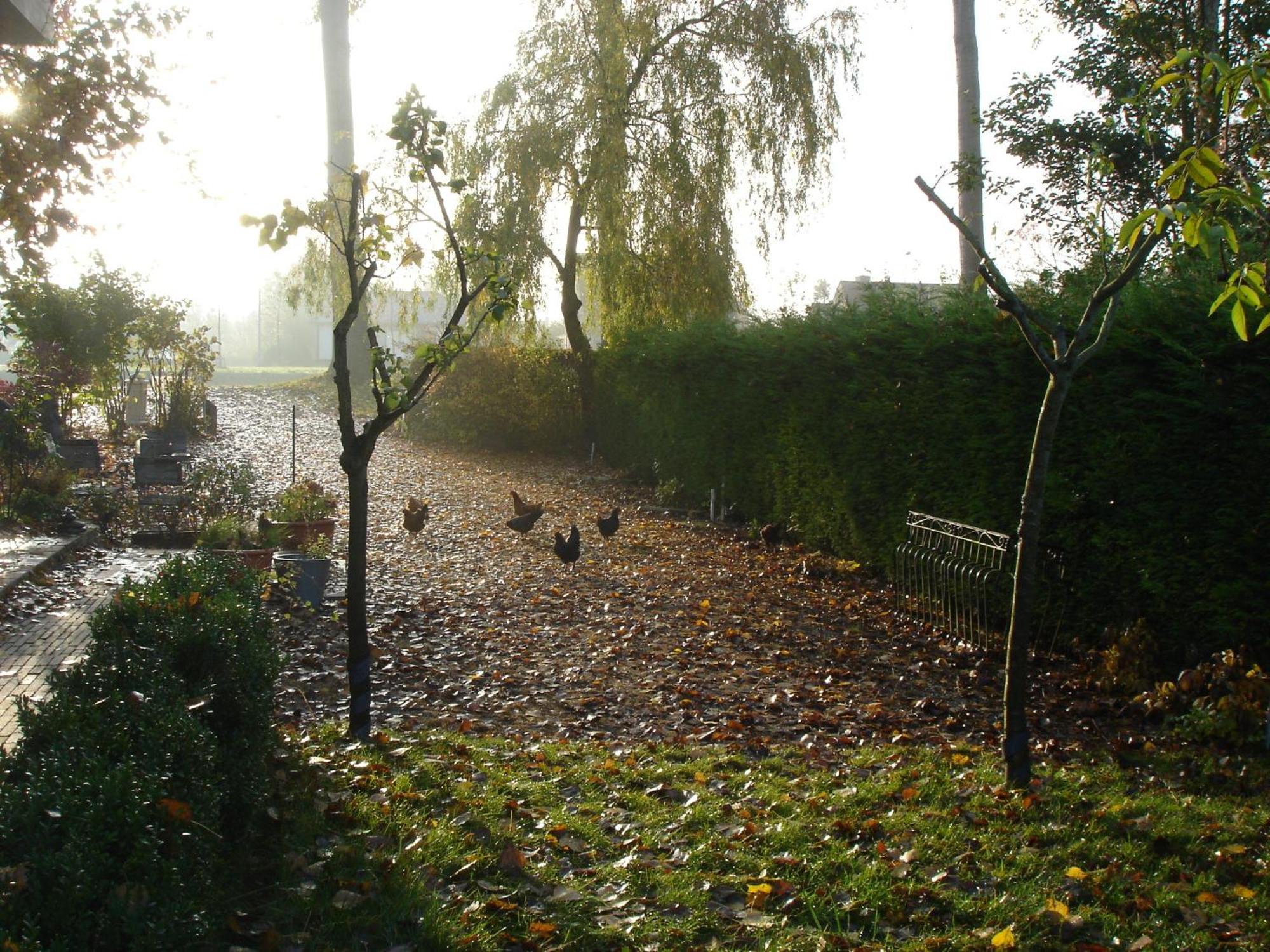 B&B Le Coquin Brugge Bagian luar foto